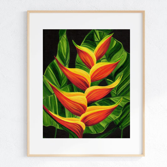 Heliconia Lush